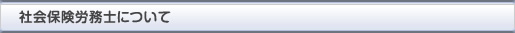 社会保険労務士について
